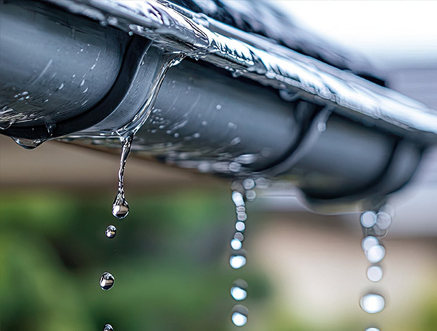 Why is water important for our bodies