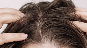 Puretec Plumbers Kit